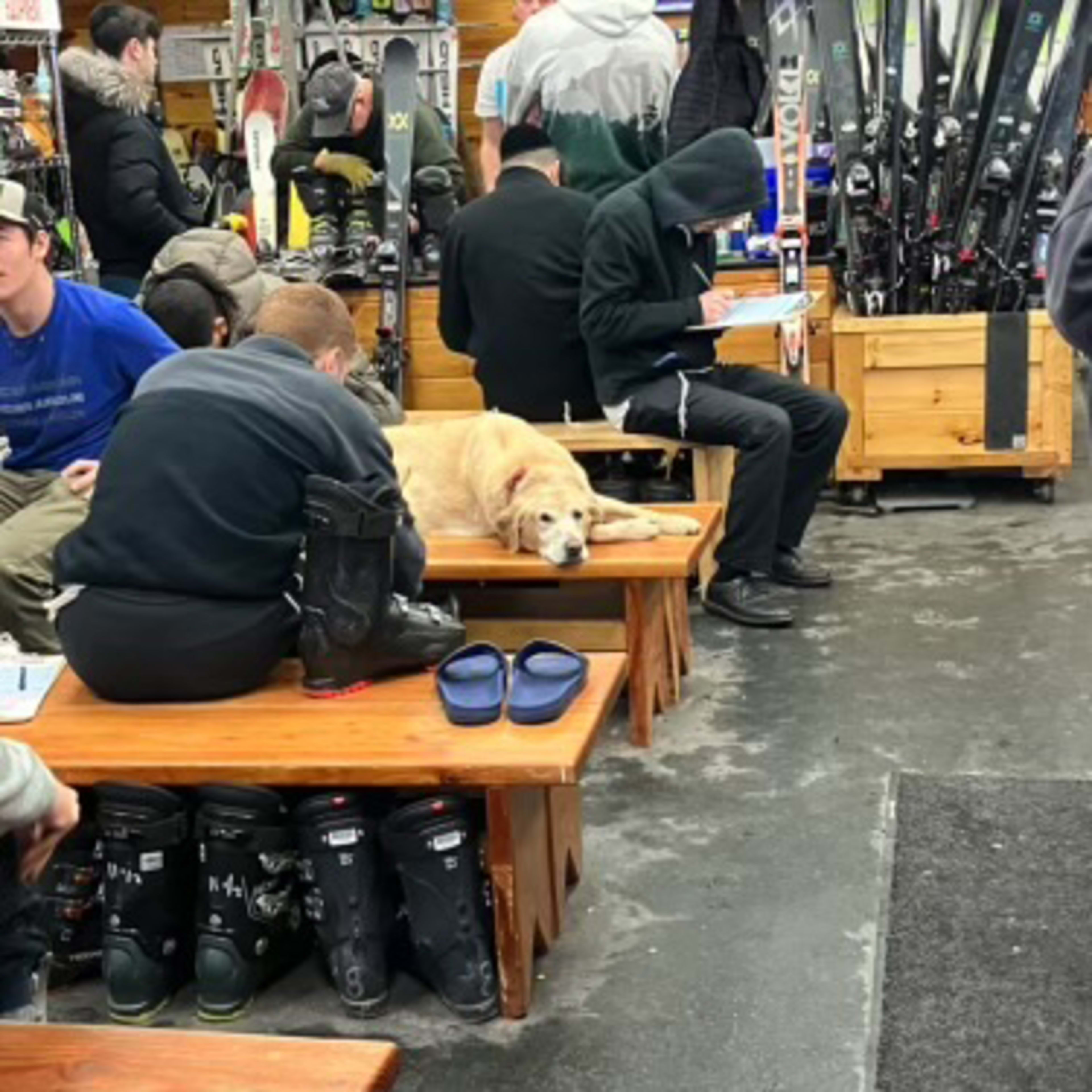 Snow Bird Ski Shop