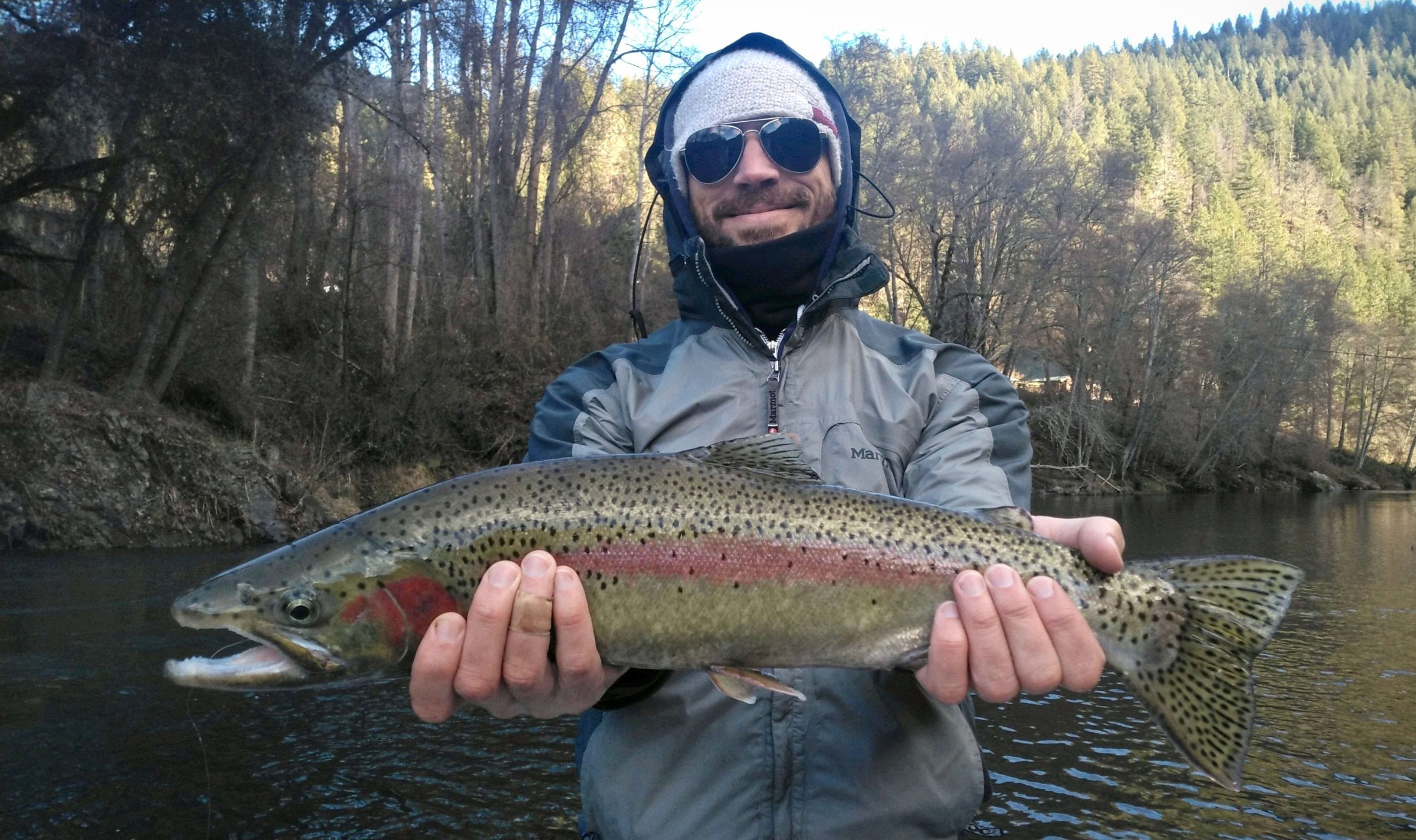 Fishing Regulations & Licensing