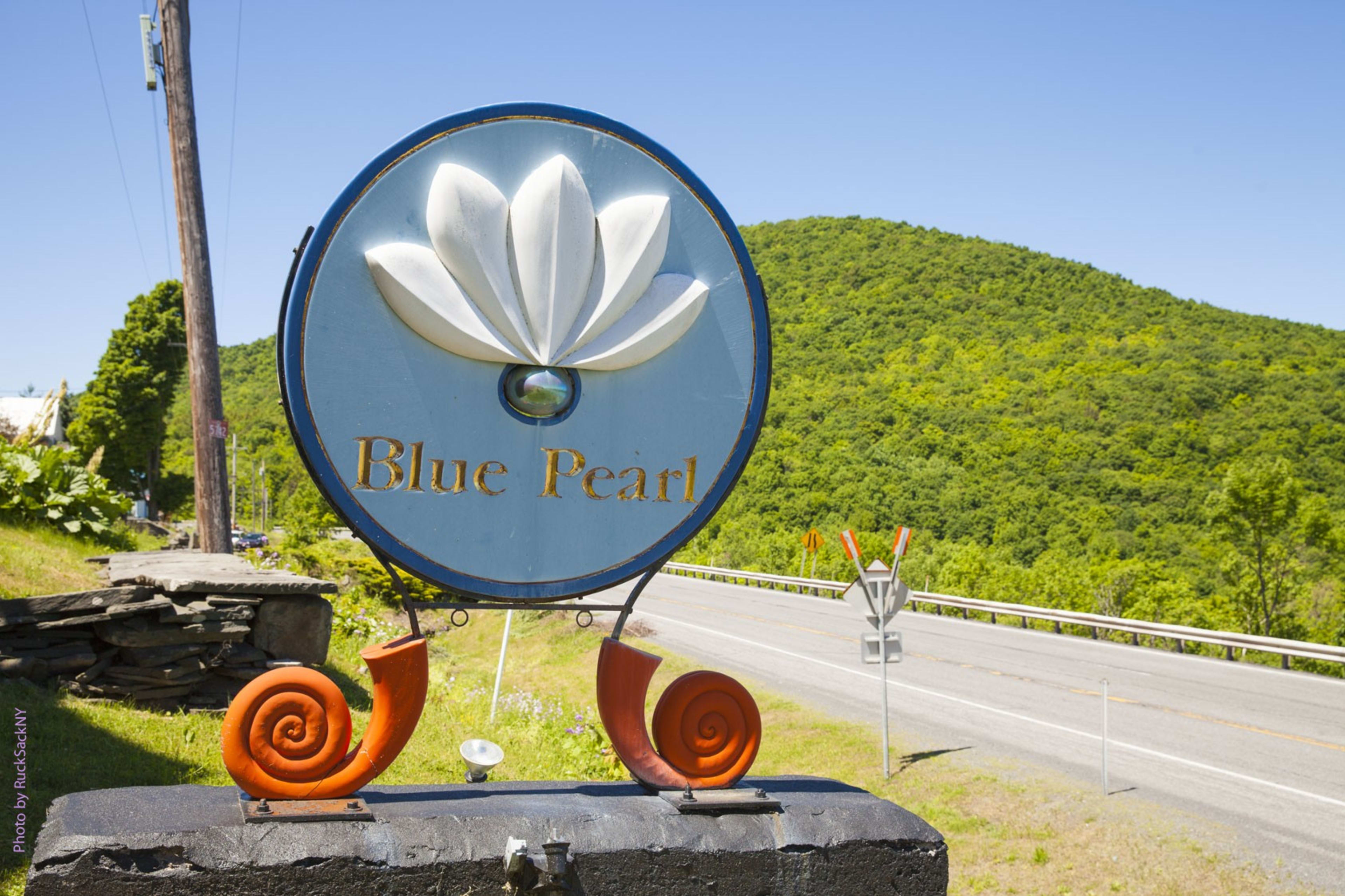 Ulla Darni’s Blue Pearl — image 2