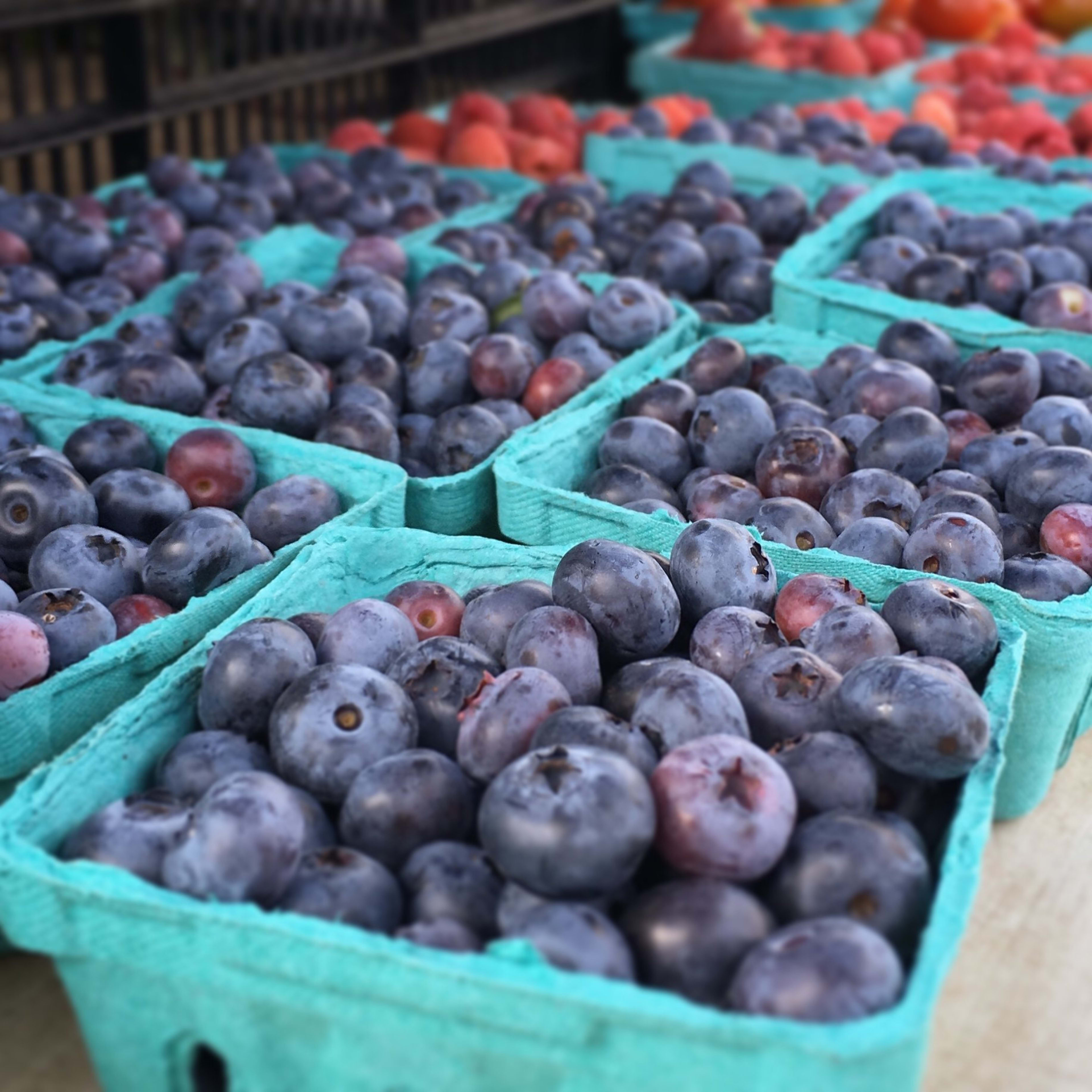 Coxsackie Farmers Market — image 2