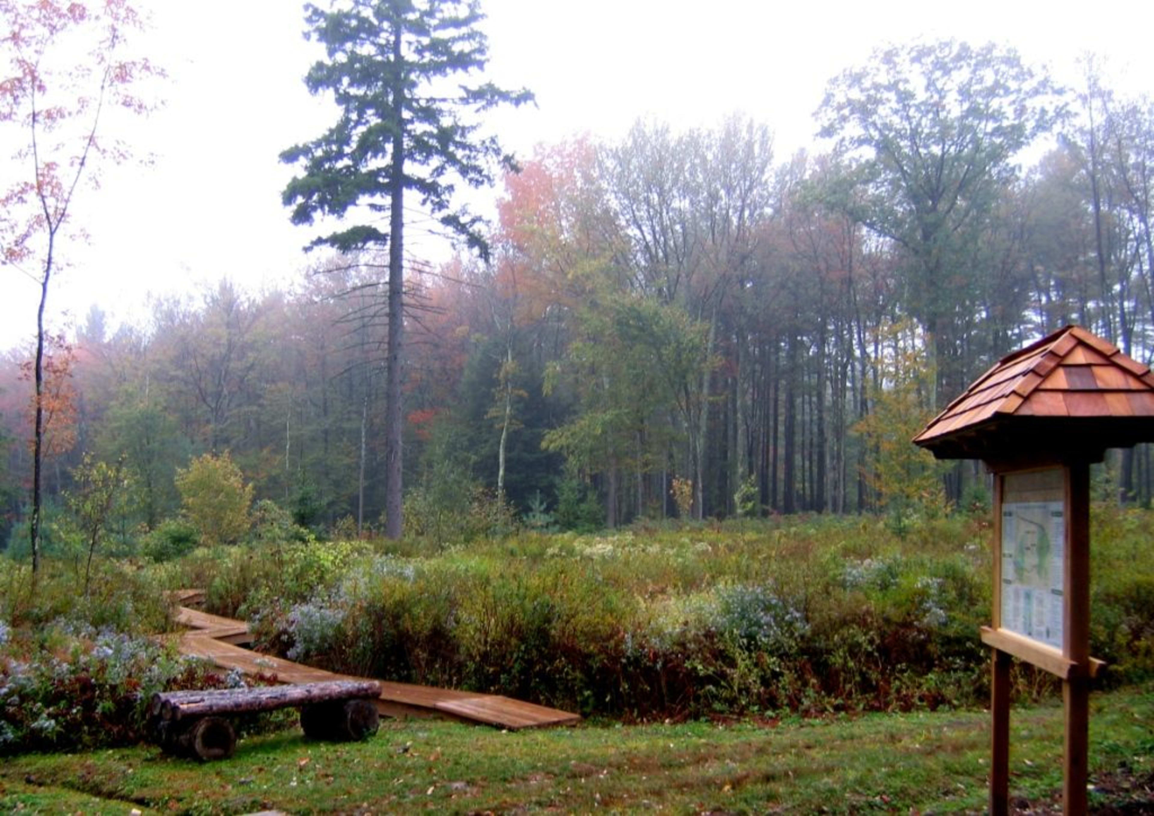 Mountain Top Arboretum — image 2