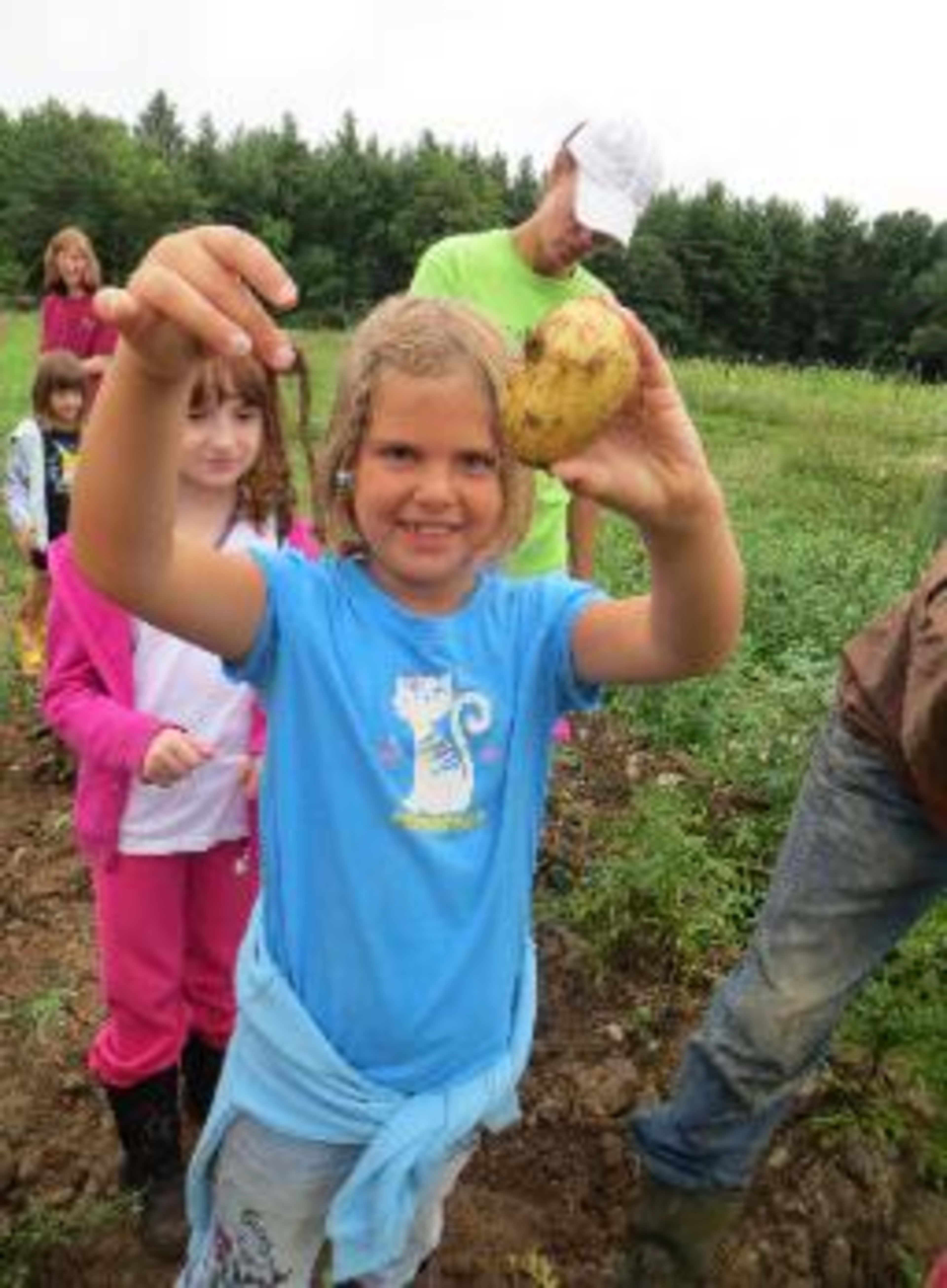 Foxtail Community Farm