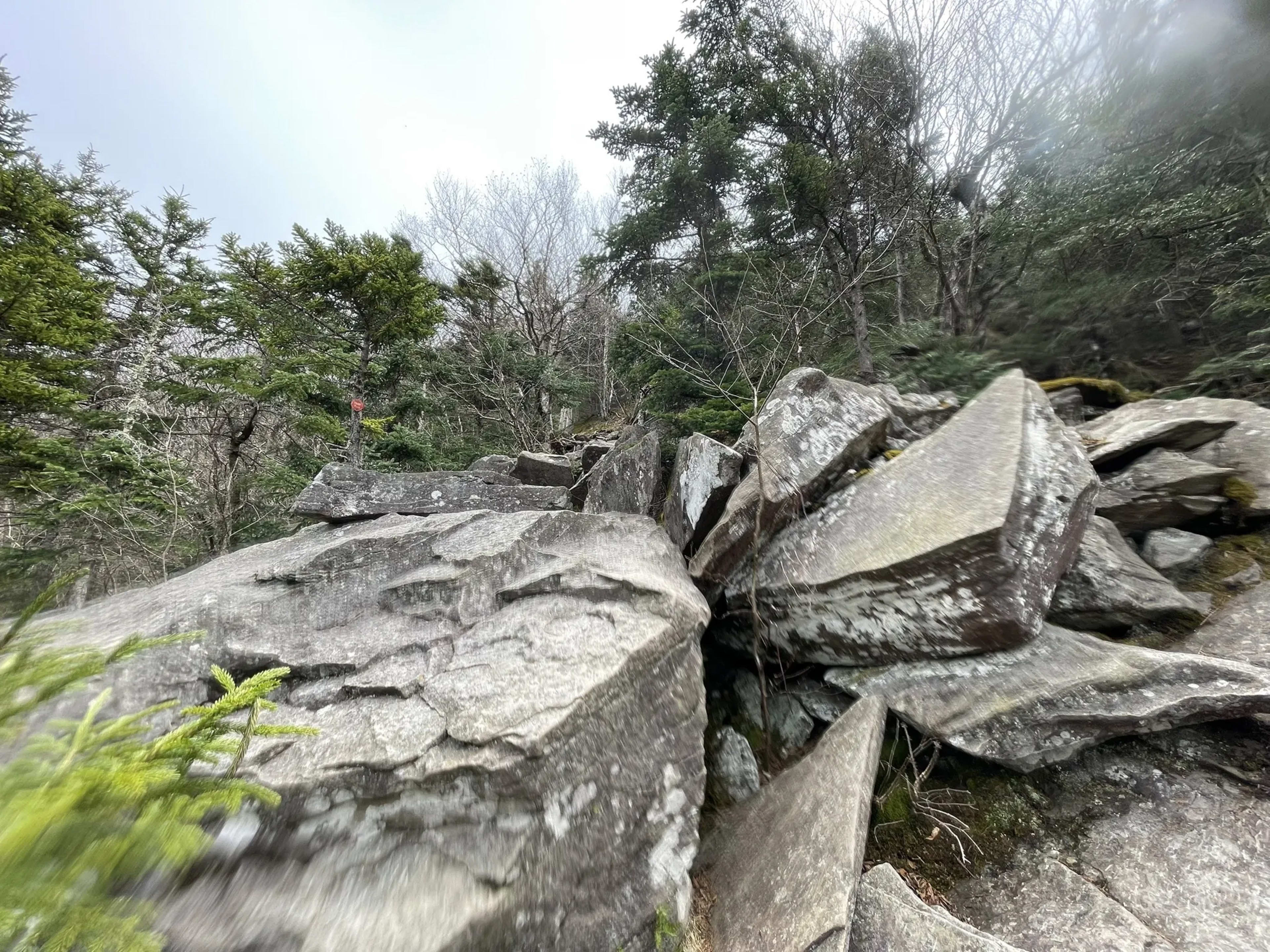 Devil’s Path