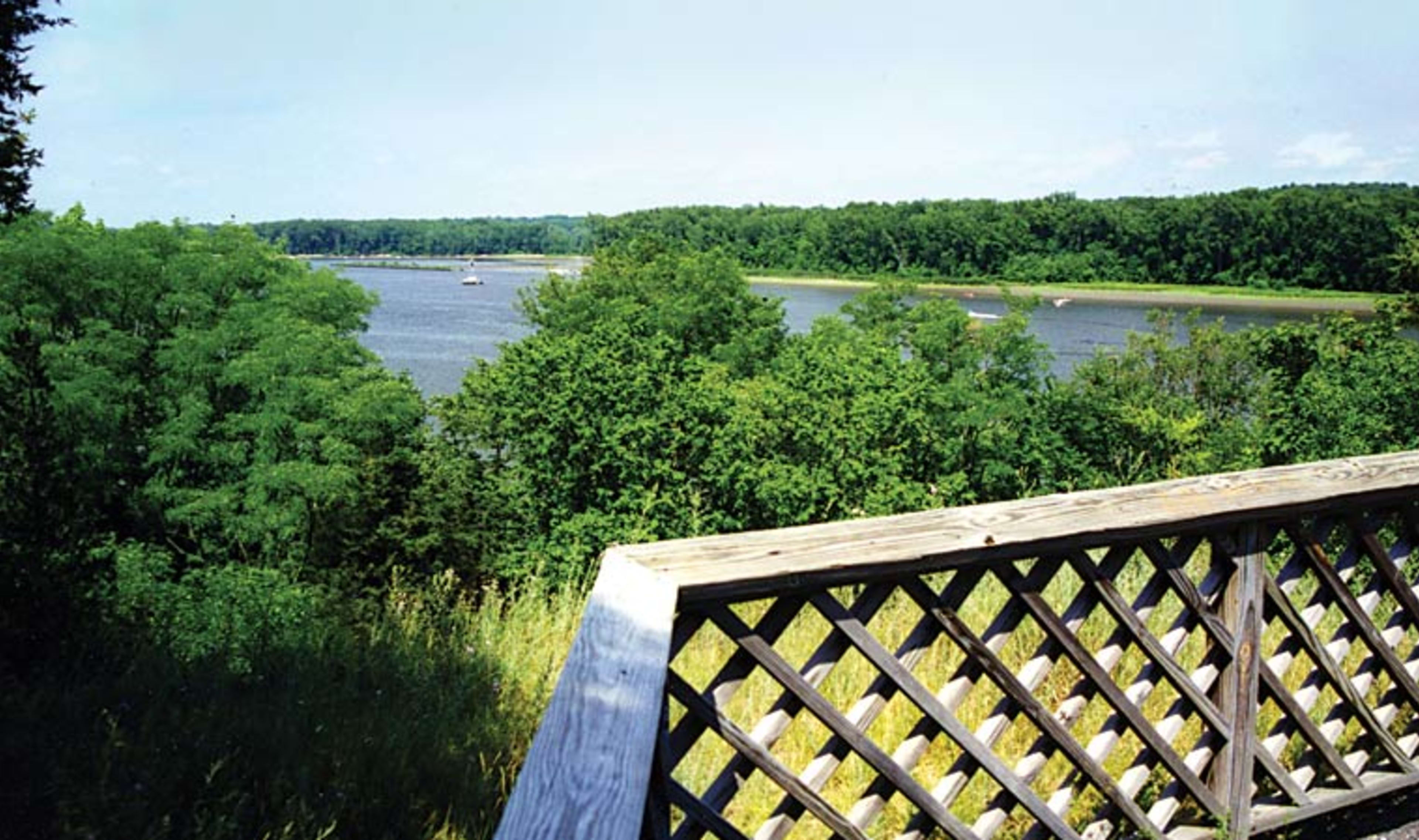 Four Mile Point Preserve