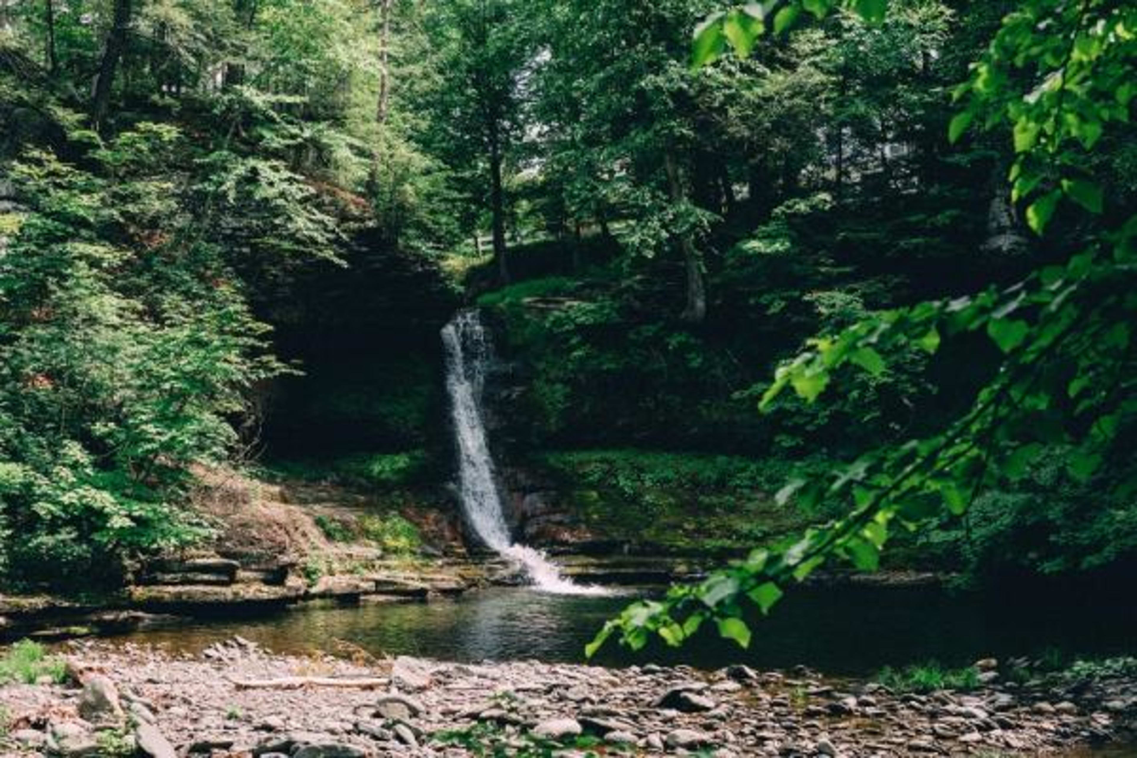 Glen Falls