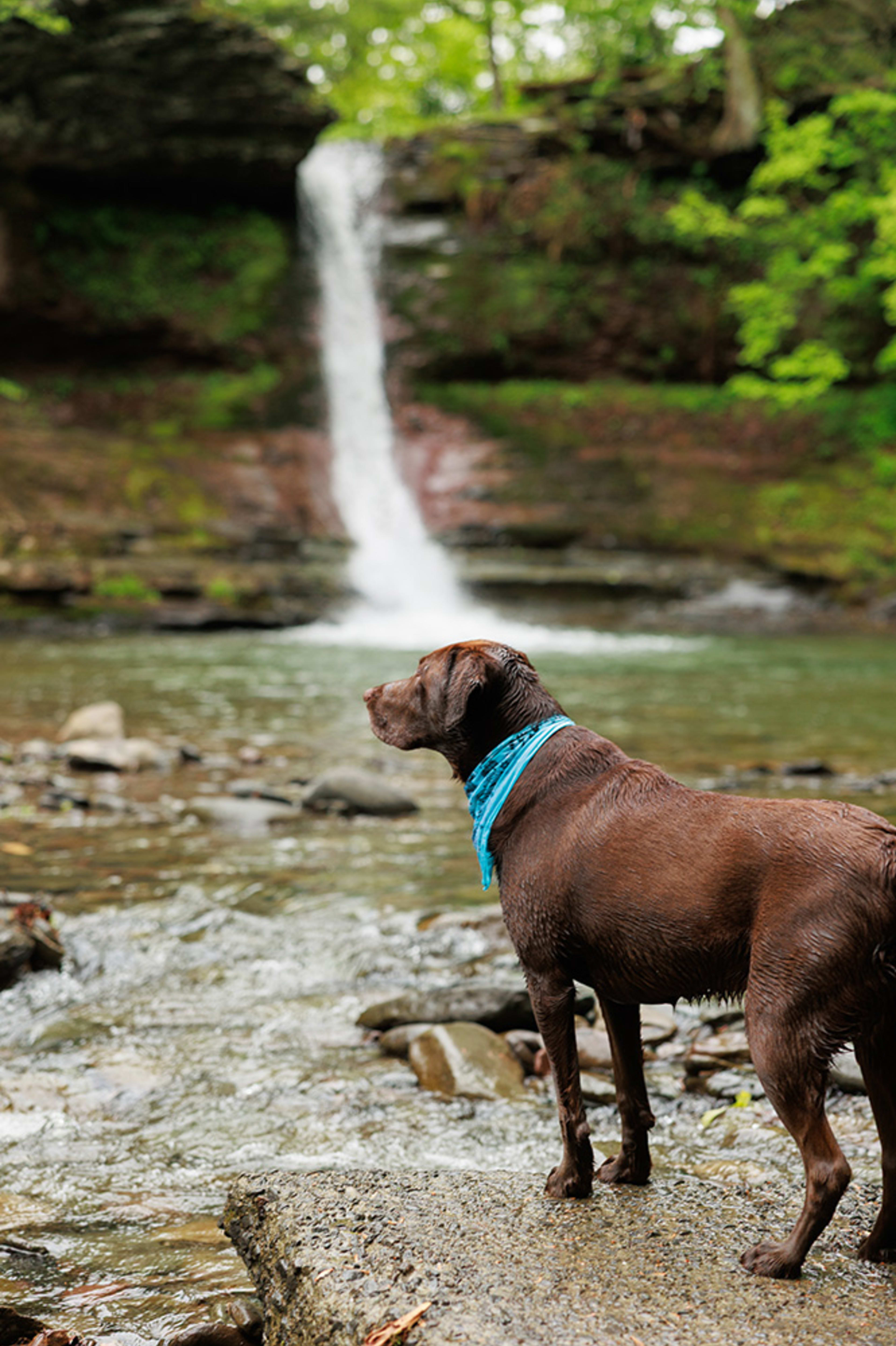 Glen Falls