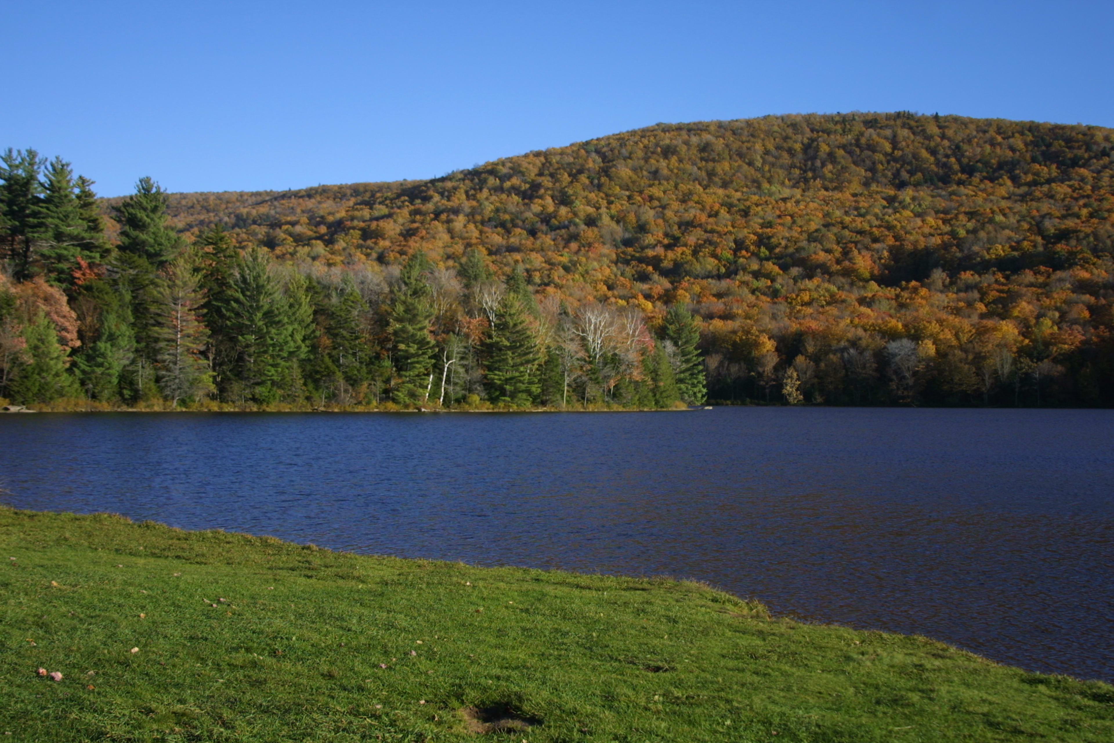 Fall background