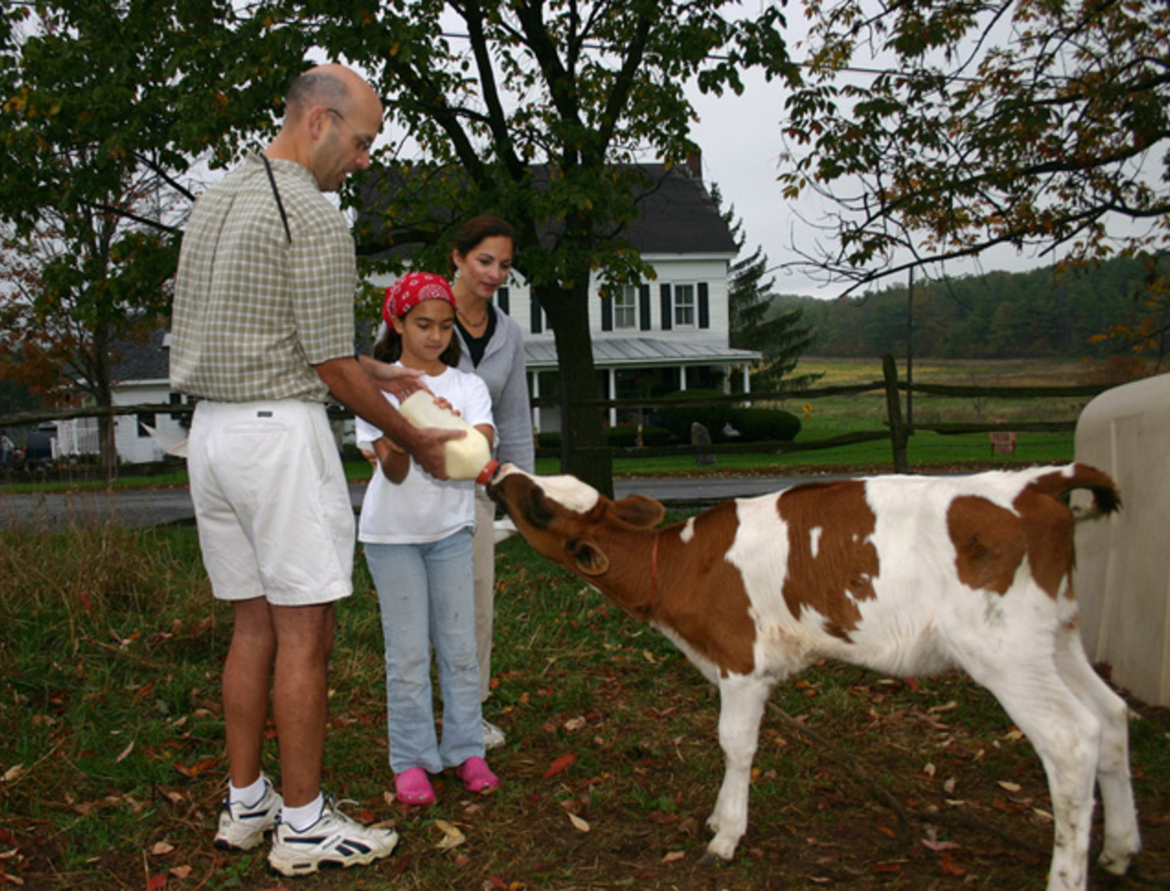 Hull-O Farms Farm Stay — image 2