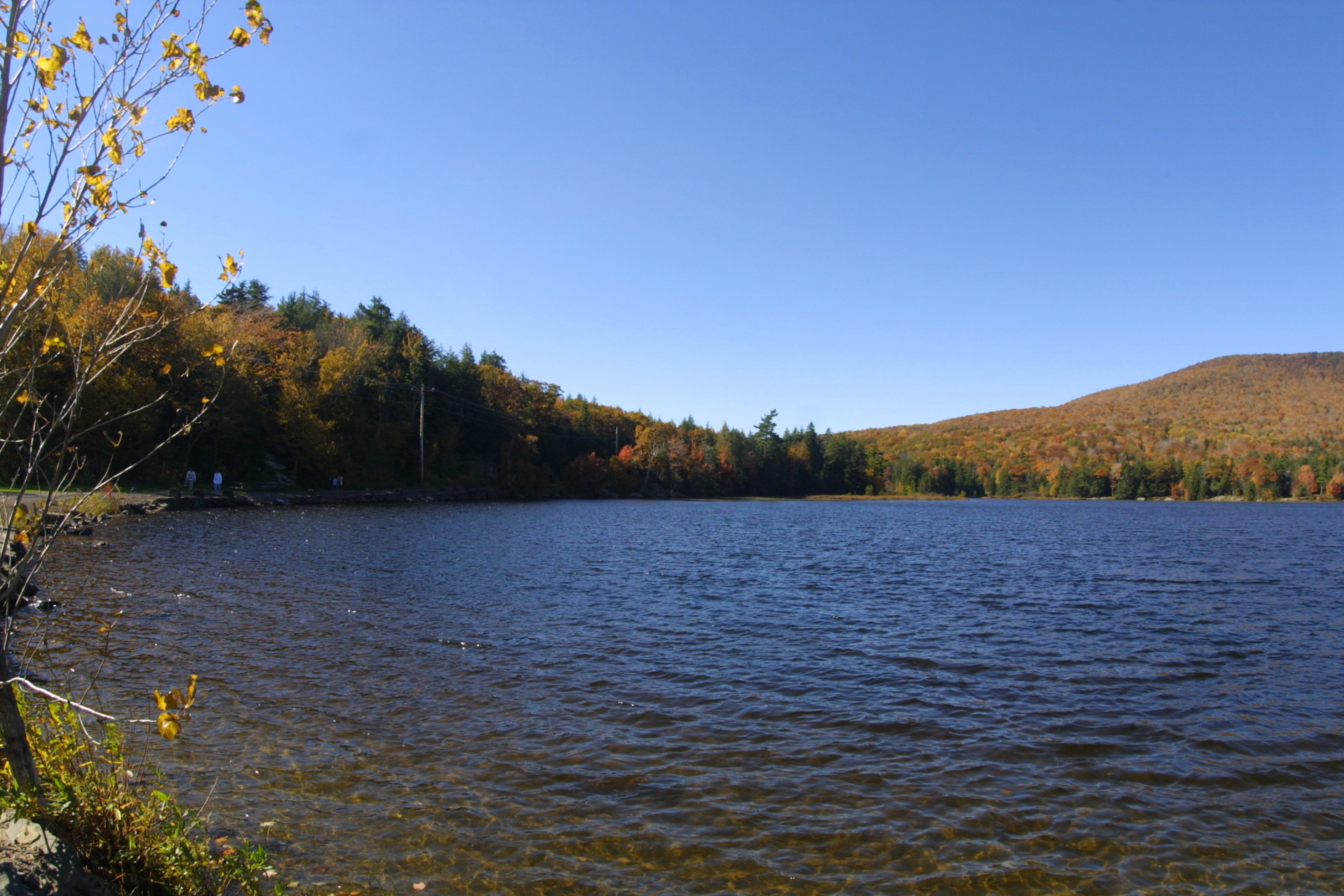 Ashley Falls — image 2