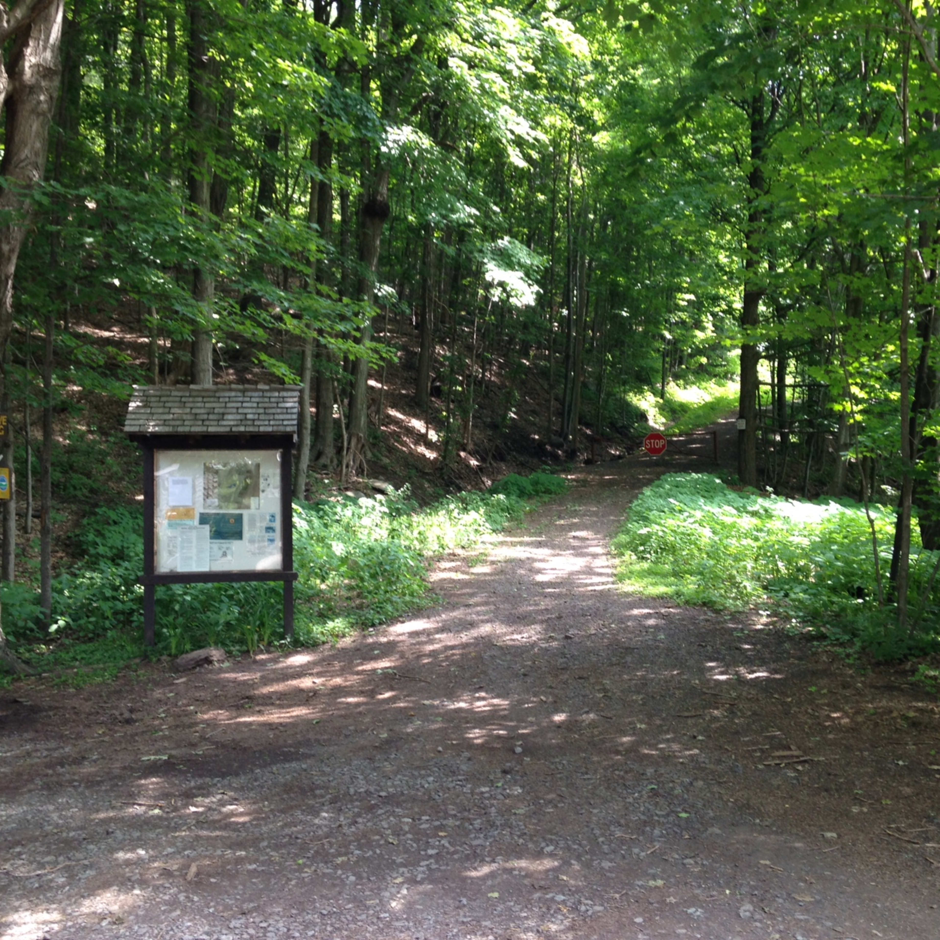 Kaaterskill Clove Lookout