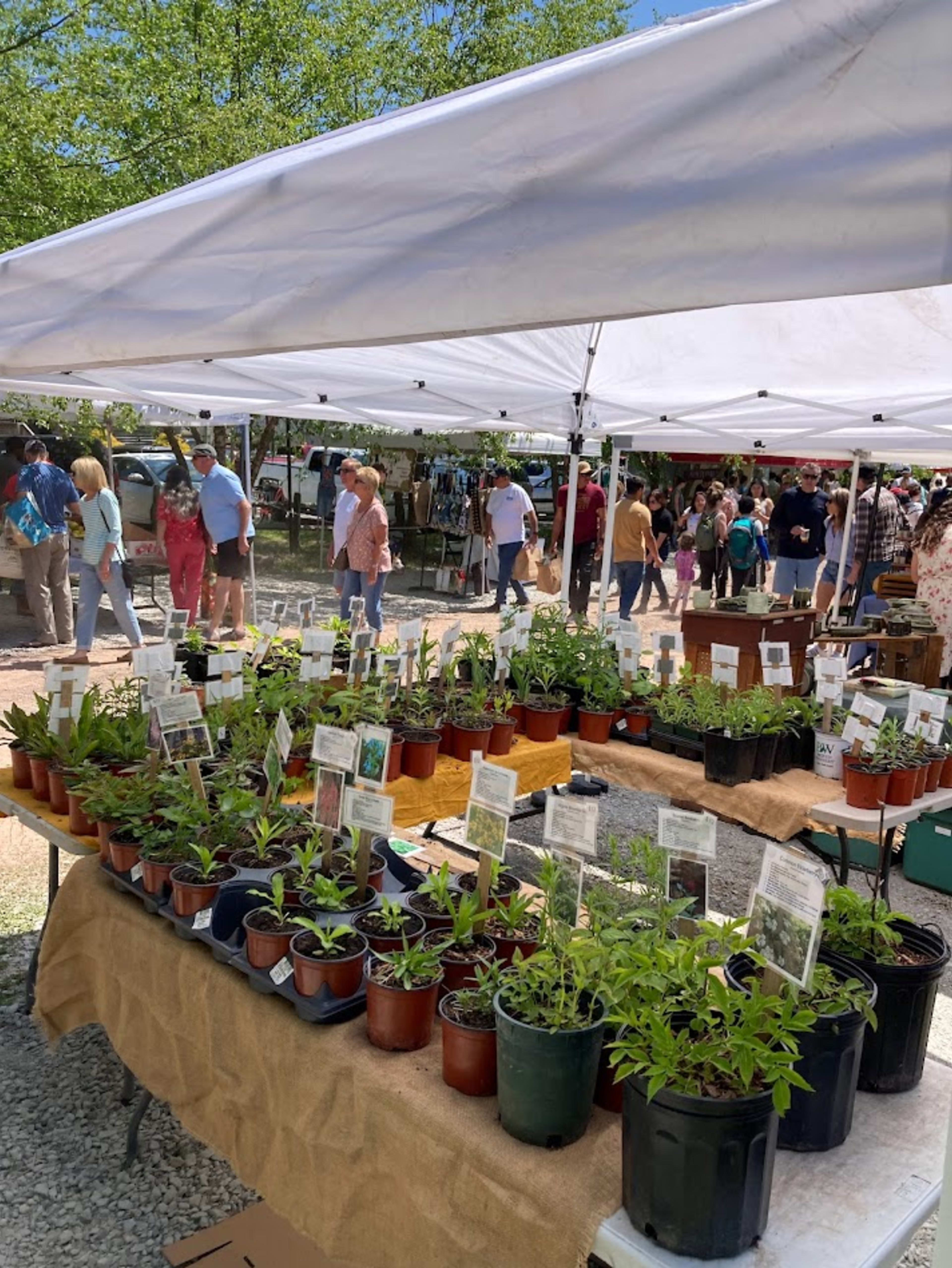 Spring Plant Sale at Mountain Top Arboretum