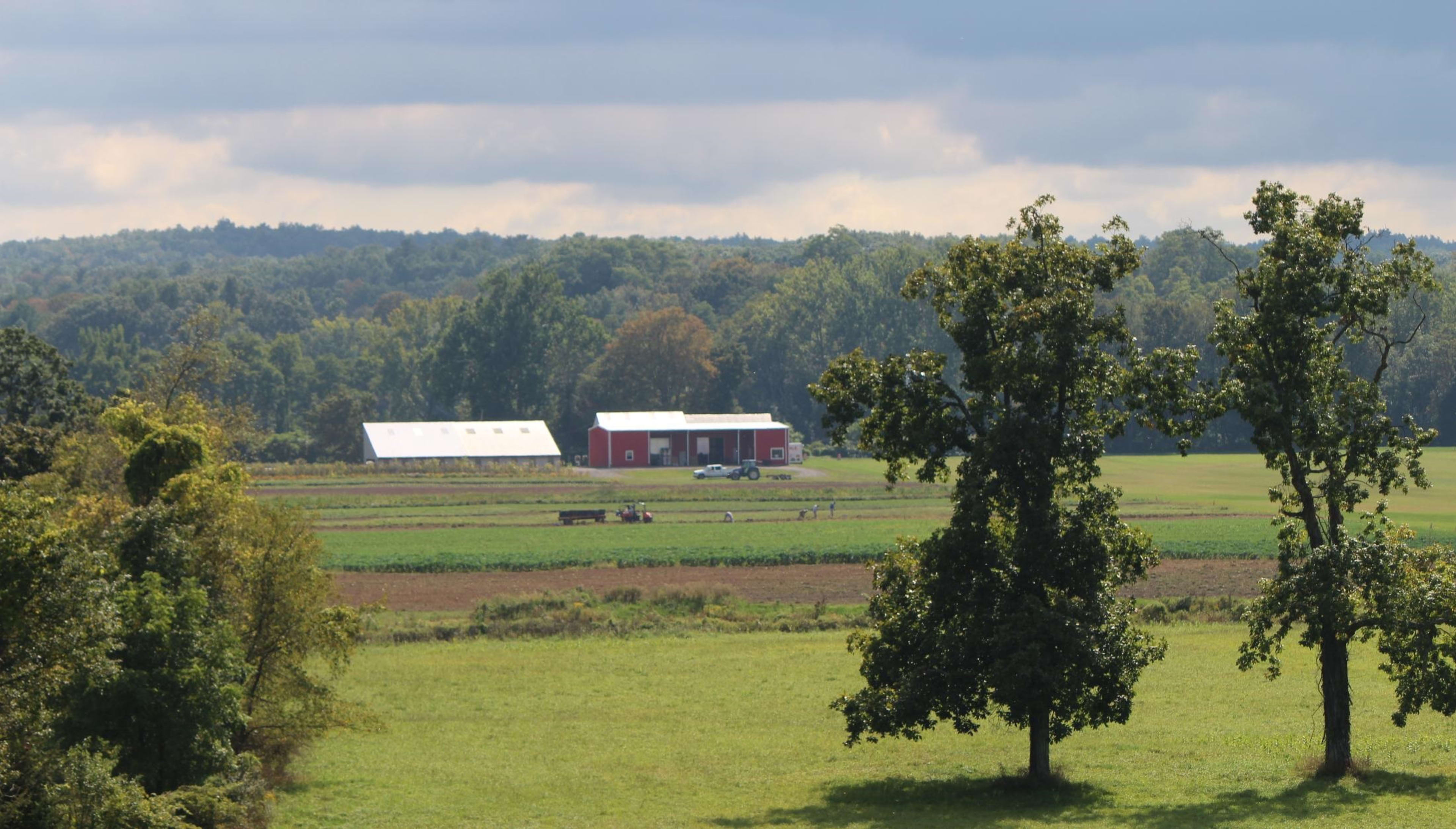 Stoneledge Farm