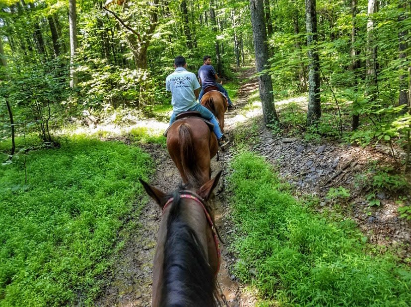 Riding for All Experience Levels