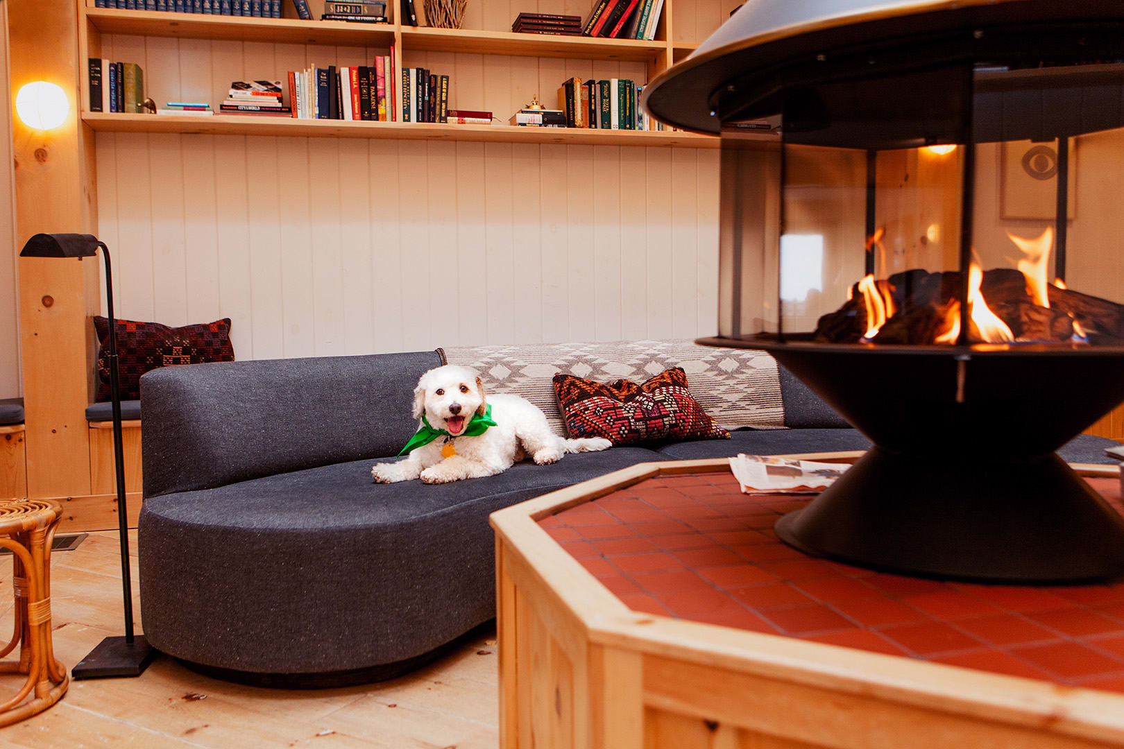 Pet-Friendly Lodging