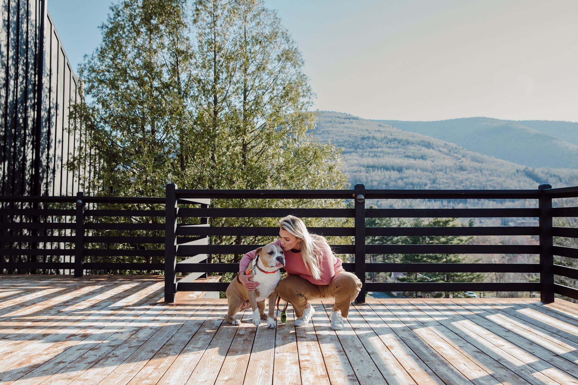 Tips for Travelling with Dogs