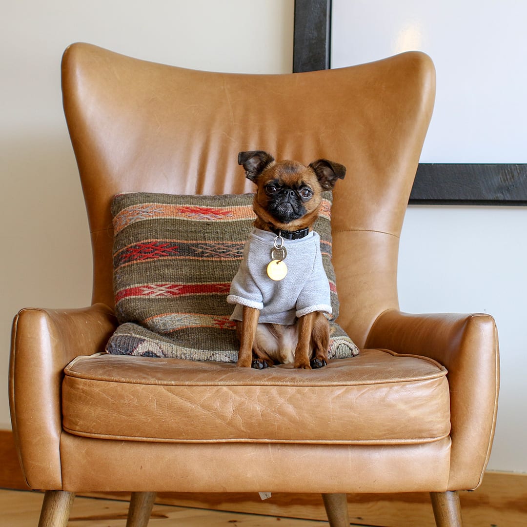 Sample Dog-Friendly Weekend