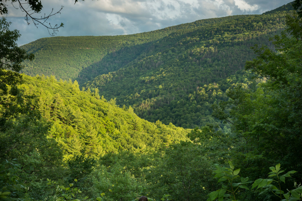Kaaterskill Clove Experience
