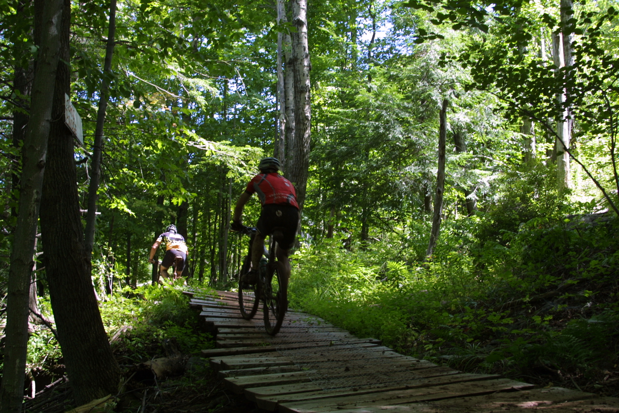 Mountain Biking in the Catskills