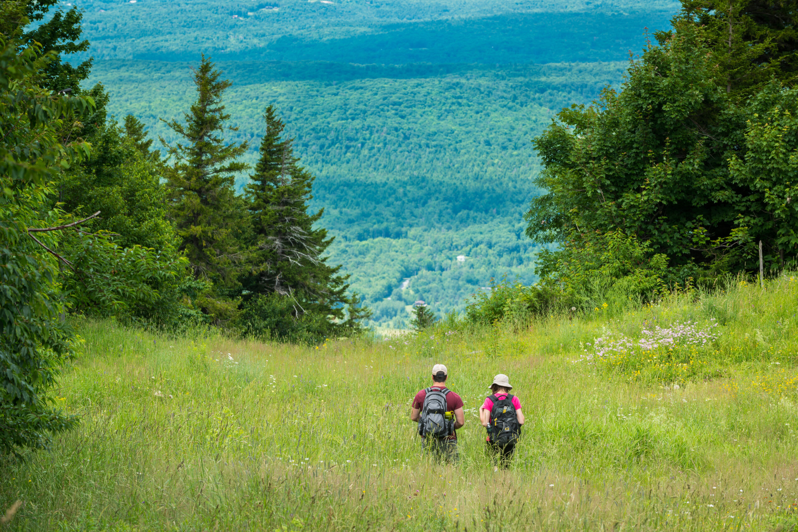 Spring Hiking Ideas