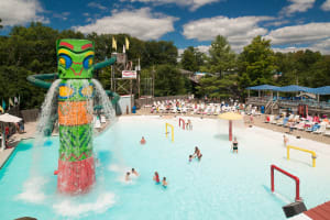 Summer Vacation Packages