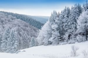 Catskills Winter Hiking