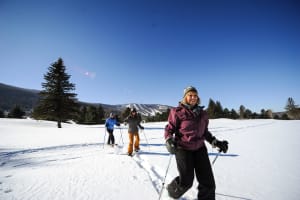 Check Out More New York Trip Ideas