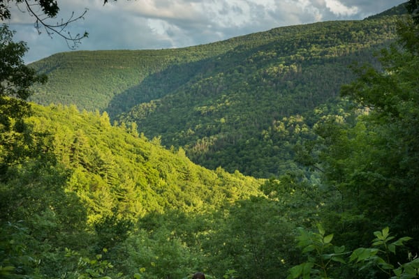 Kaaterskill Clove Experience
