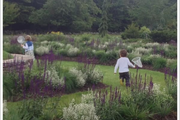 Mountain Top Arboretum