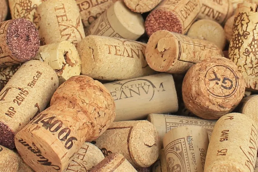 Champagne Corks - 100