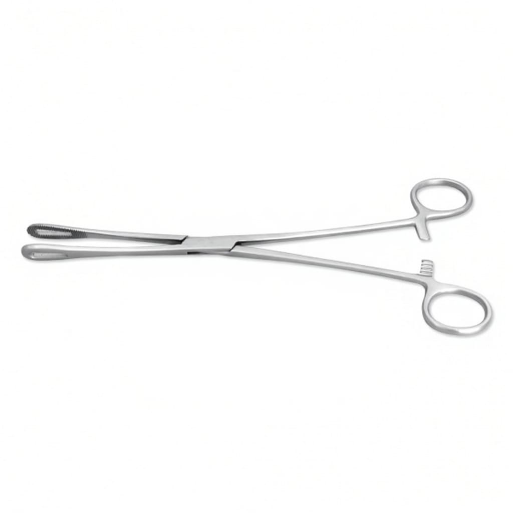 Rampley Sponge Holding Forceps