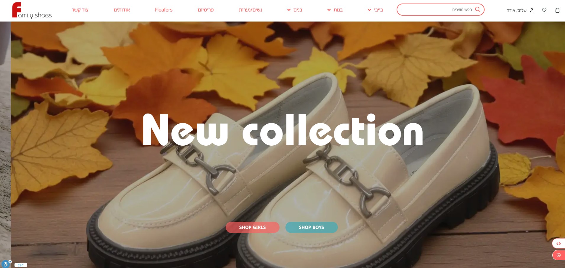 Family Shoes
