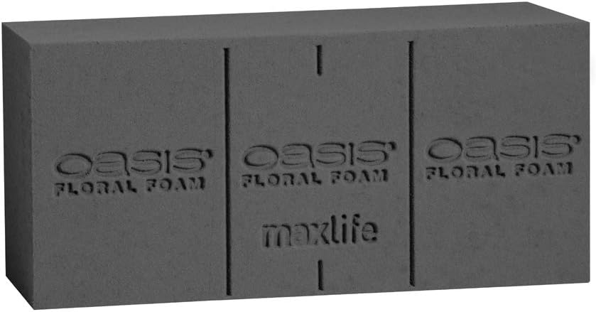 OASIS Midnight Floral Foam Bricks, Case of 24