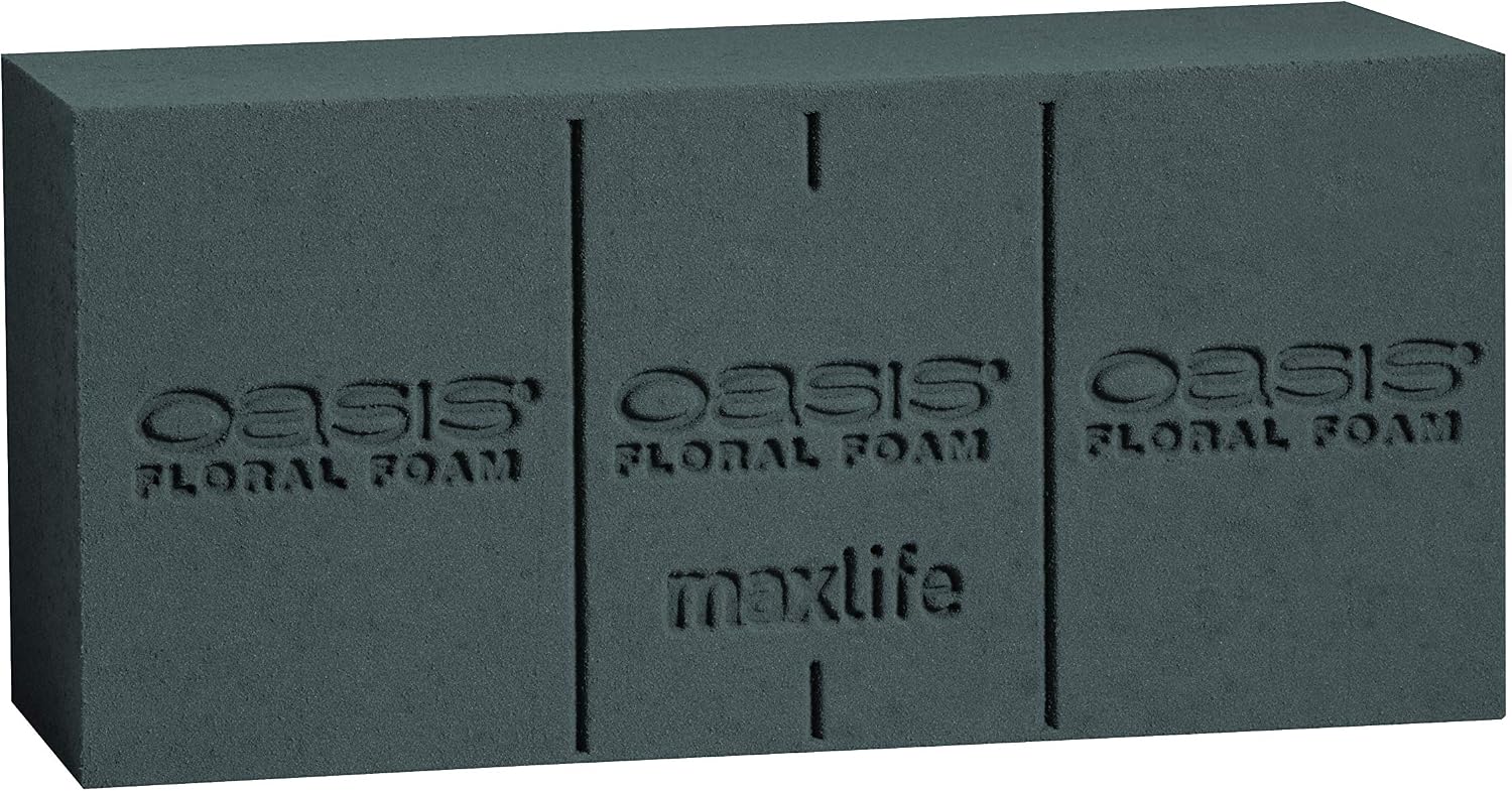 OASIS Midnight Black Floral Foam Standard Bricks, Twin Pack