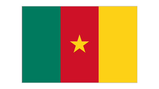 À quel pays africain appartient ce drapeau ?