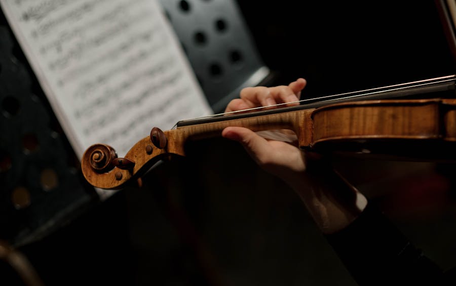 Image mystère : Violon