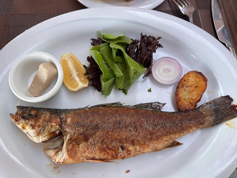 İBB Arnavutköy Sosyal Tesisi yemek fotoğrafı