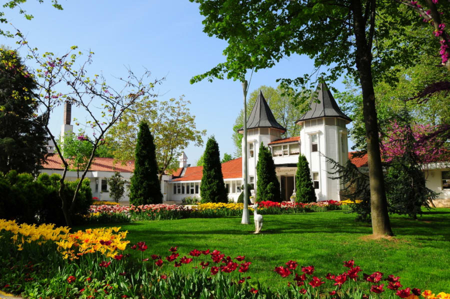 İBB Beykoz Koru Sosyal Tesisi