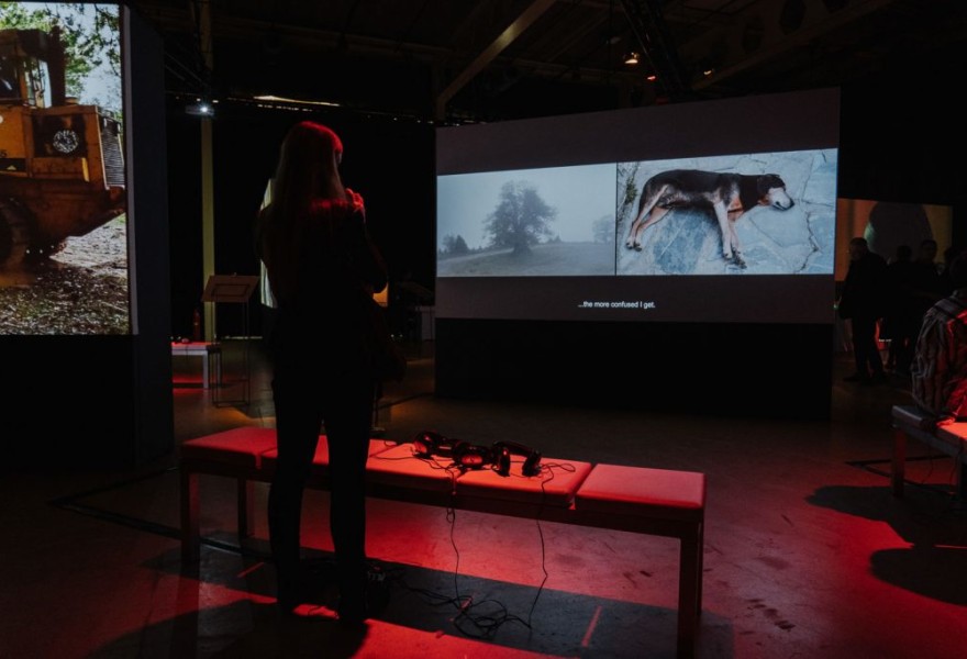 citizenM Projections