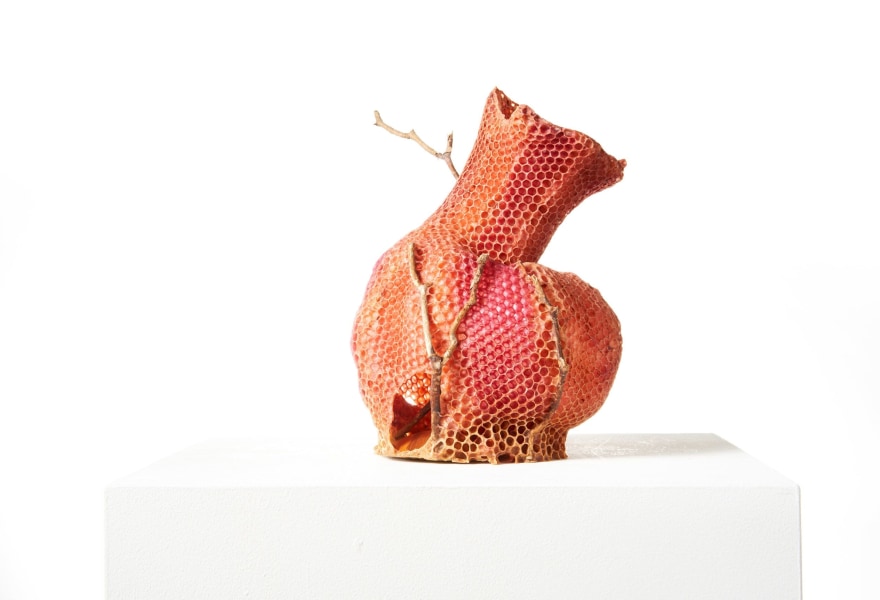 Nature Calls - De dreigende klimaatcrisis