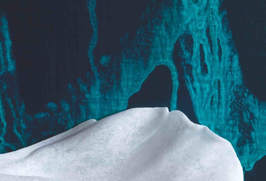 Online rondleiding door ‘quietly, quietly’ bij Galerie Roger Katwijk