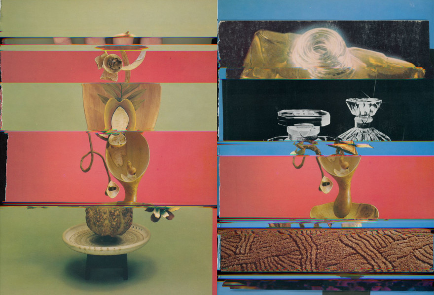 Nico Krijno - Lockdown Collages