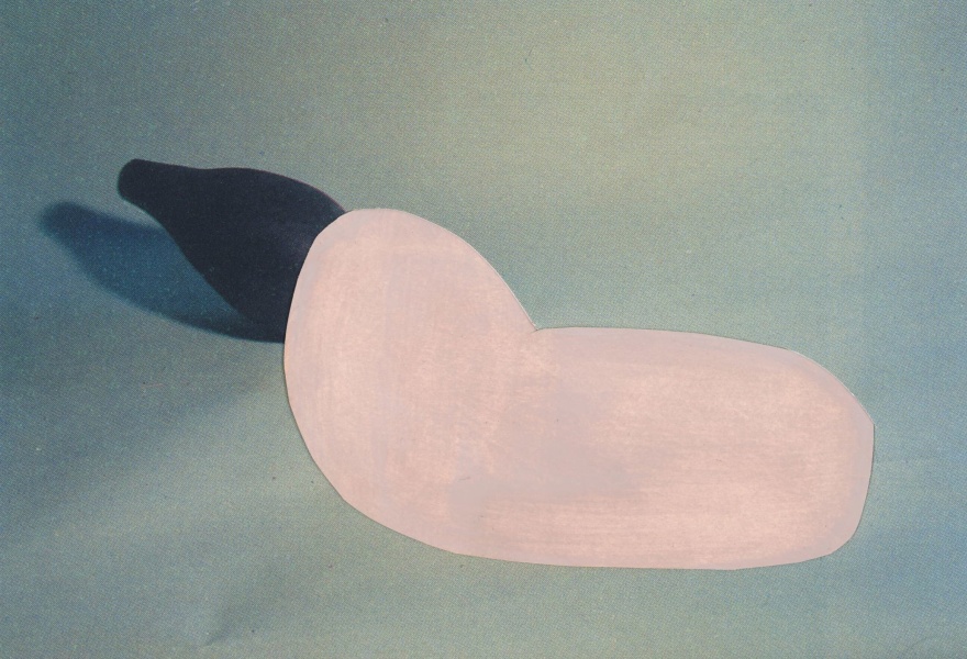 Onze onverklaarbare emotionele band met objecten