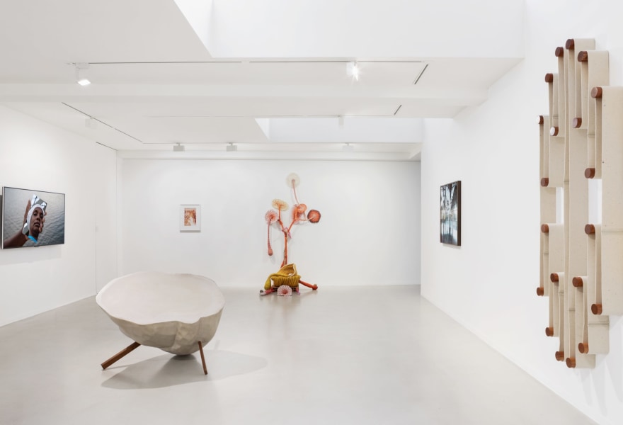 Kunst die je wilt aanraken |
Uniek overzicht van hedendaagse Braziliaans kunst bij Galerie Ron Mandos