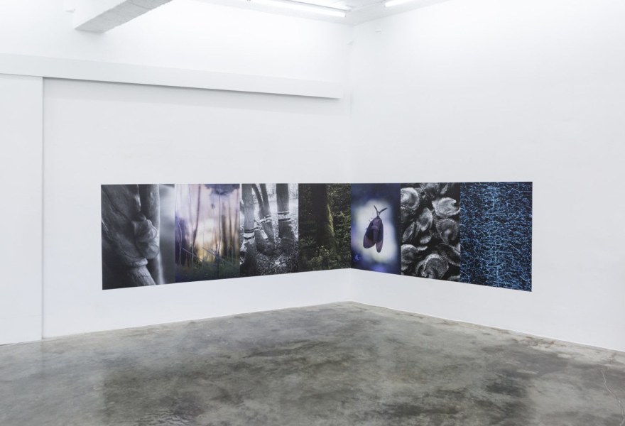 Niet louter fotografie | ‘No Road to Hotel Bellevue’