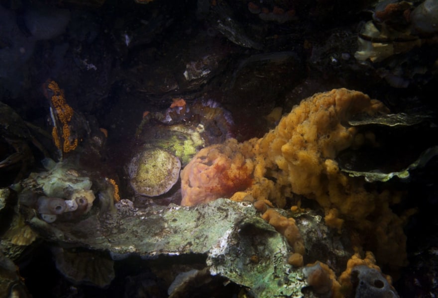 Fiscaal verstandig kunst schenken | Uitgelegd door KPMG Meijburg & Co