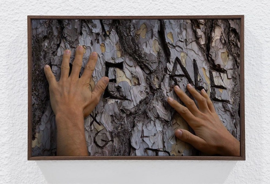 Miguel Sbastida: Wij zijn onze omgeving