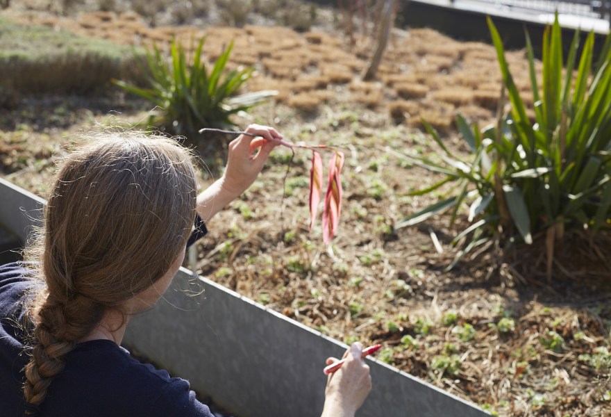 An interview with Elspeth Diederix