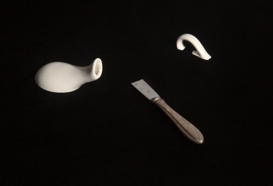 Preview Seizoen 2021: 8 shows over natuur & klimaat