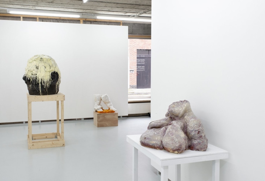 De defragmentatie van het menselijk lichaam in het werk van Dennis Ceylan