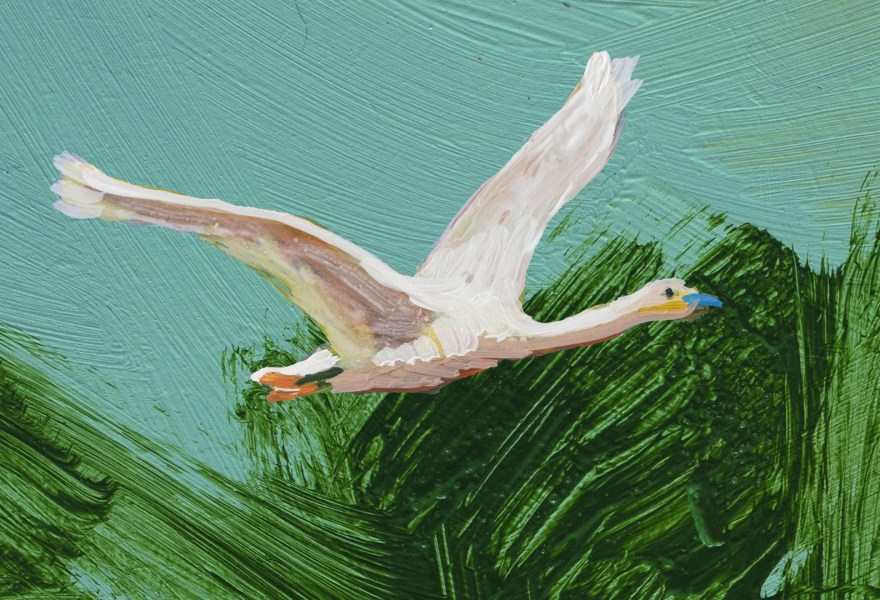 More highlights at Art Island